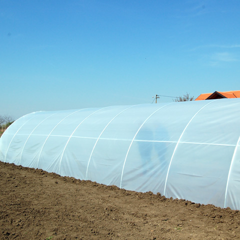 (Copy of) Plastenici za poljoprivrednike sa Palilule