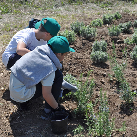 Дан планете Земље обележен на Ади Хуји